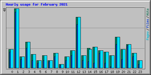 Hourly usage for February 2021
